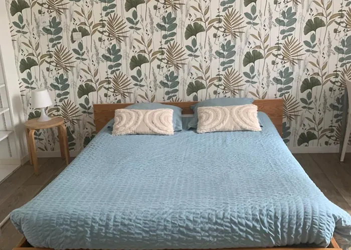 20 M2-proche Gare Appartamento La Roche-sur-Yon